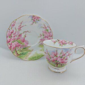 Vintage Royal Albert Blossom Time Tea Cup & Saucer